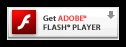image of Flash icon